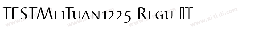 TESTMeiTuan1225 Regu字体转换